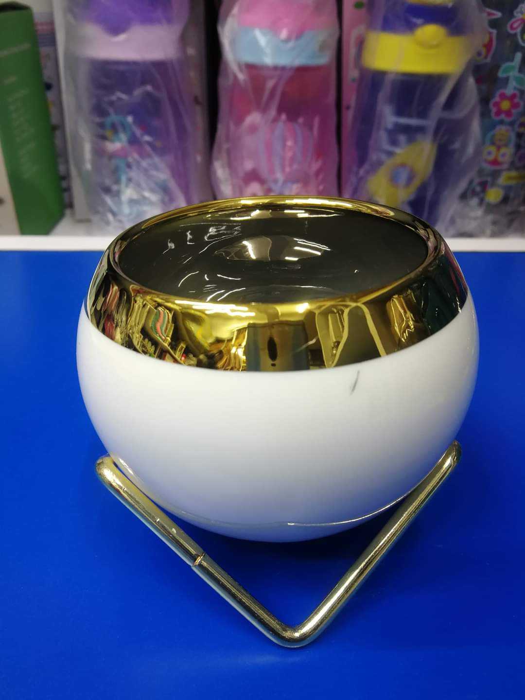 Plant Flower Pot