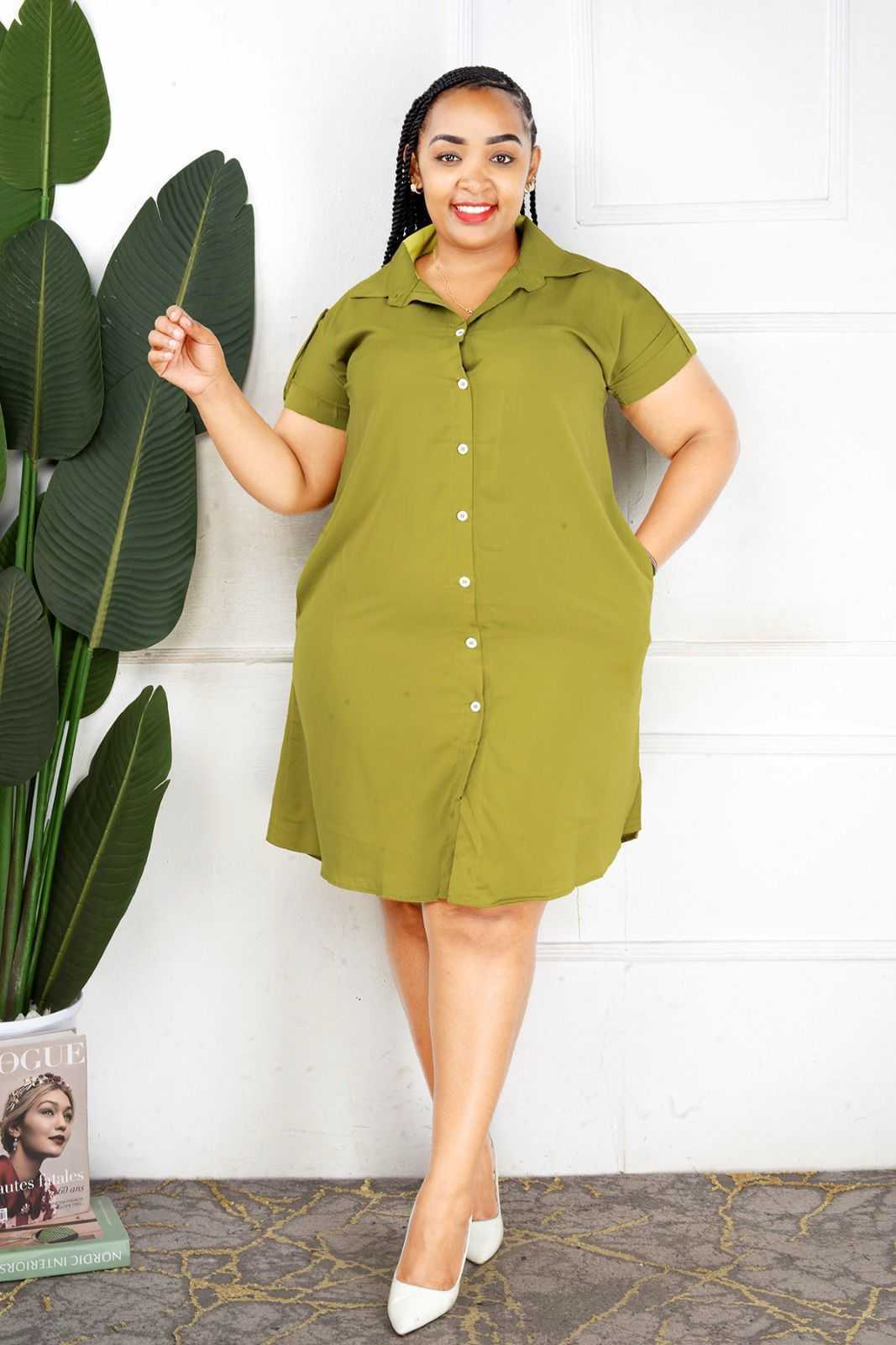New Shirt Dress