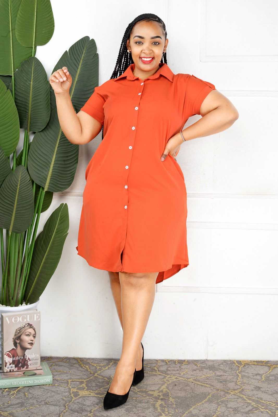New Shirt Dress