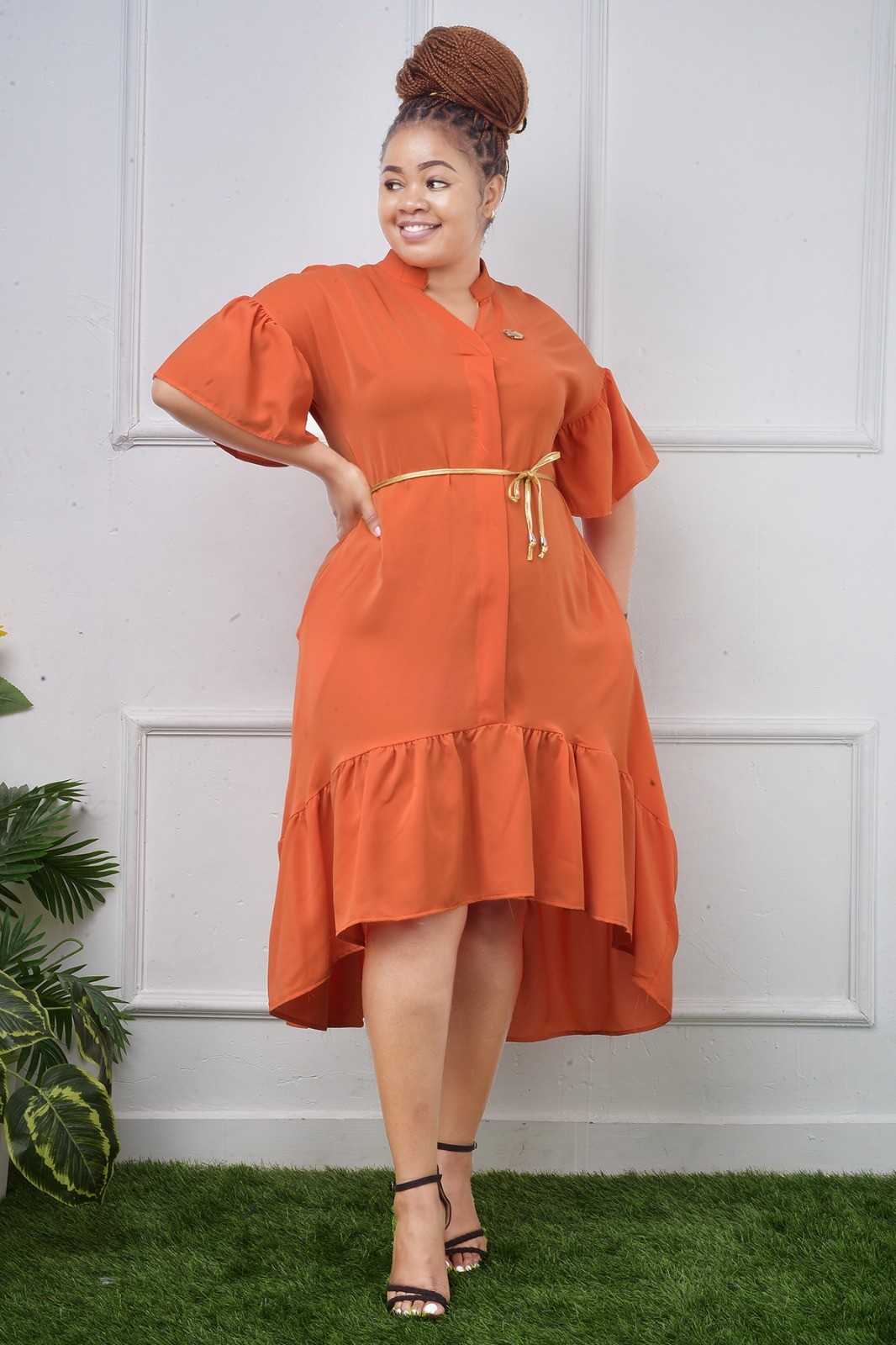 Elegant Style Dress